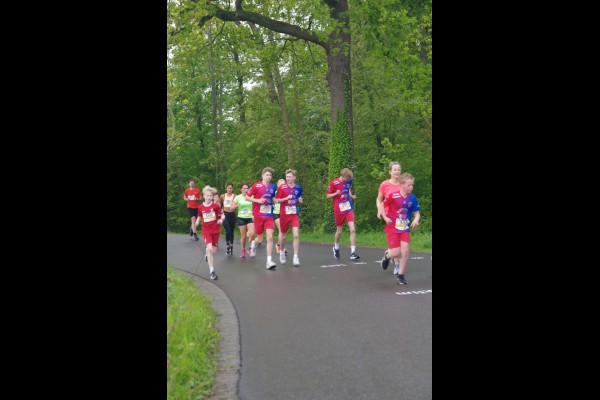 Jos Rijpers
